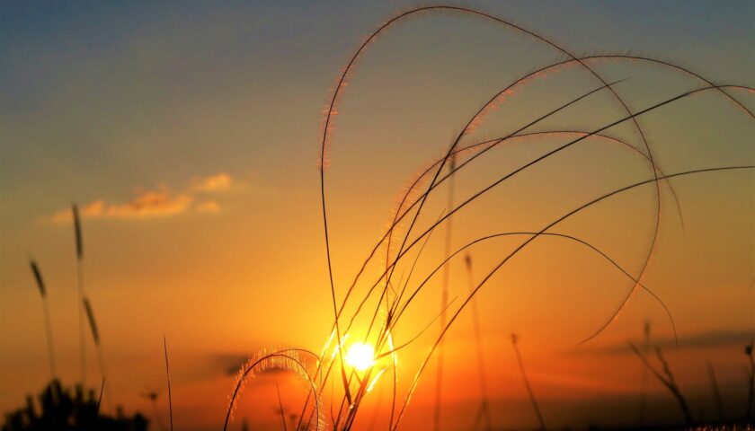 sol nascendo